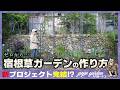 【プロジェクト完結編】3m超えのダンチクを植える！荒地を宿根草の森に変える壮大な挑戦。