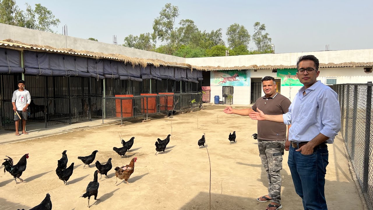 ऐसा dog kennel आपने पूरे इंडिया में नहीं देखा होगा 😳😳😳 YouTube