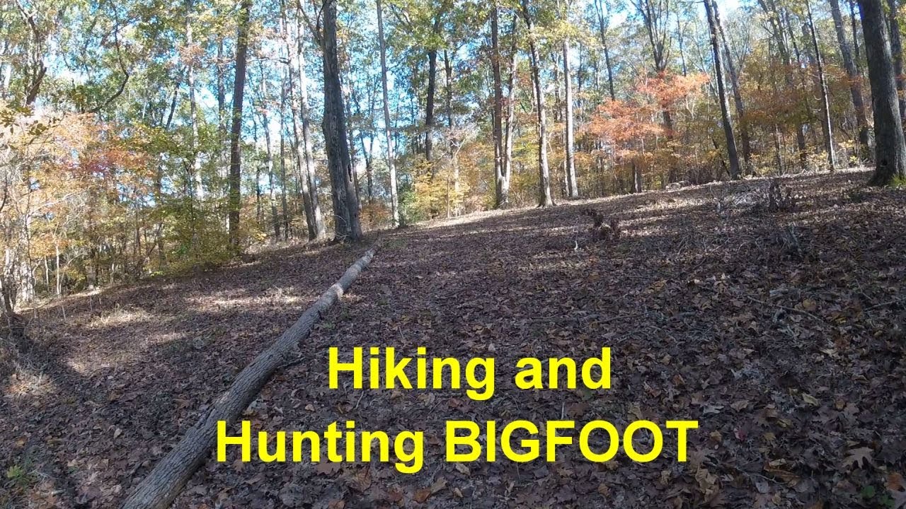 Hiking Uwharrie National Forest Hunting Bigfoot YouTube