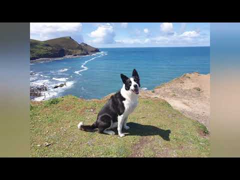 Crackington Haven Bude Cornwall