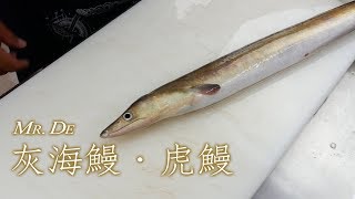 德先生20180326 灰海鰻‧虎鰻- 鱧椀練習