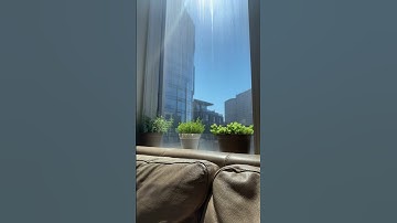 Action is the foundational key to all success.-Pablo Picasso