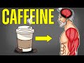 How Caffeine Helps You Build Muscle Faster (science-based)