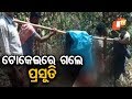 ଗାଁକୁ ରାସ୍ତା ନଥିବାରୁ