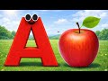 Things that start with letter D| Learning Cartoon and alphabet for kids 