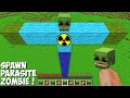 This is a SUPER SECRET WAY TO SPAWN BIGGEST PARASITE ZOMBIE in Minecraft ! MUTANT ZOMBIE !