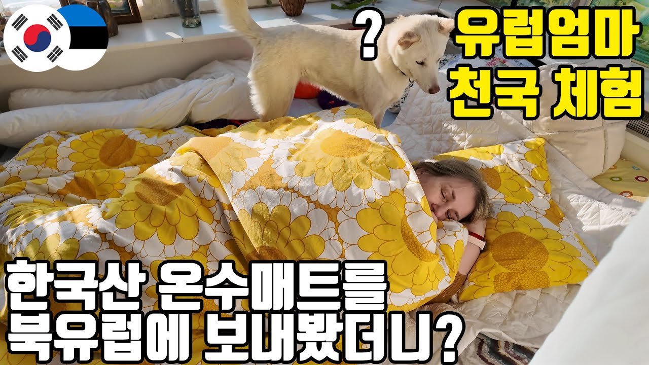 한국에서 날아온 온수매트에 녹아내린 북유럽 엄마와 진돗개ㅋㅋ