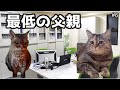 【猫ミーム】葬儀社にアルバイトとして勤めていたお話その5~8まとめ