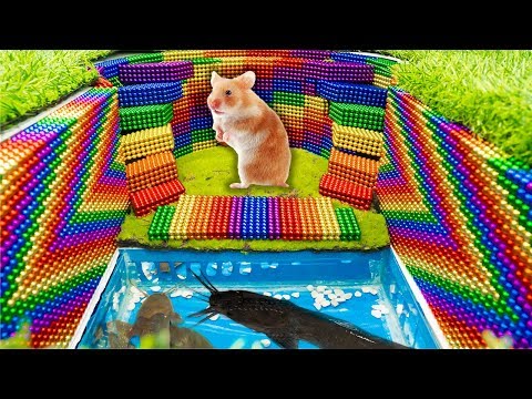 Build Underground House Swimming Pool For Hamster And Catfish With Magnetic Balls (Satisfying)