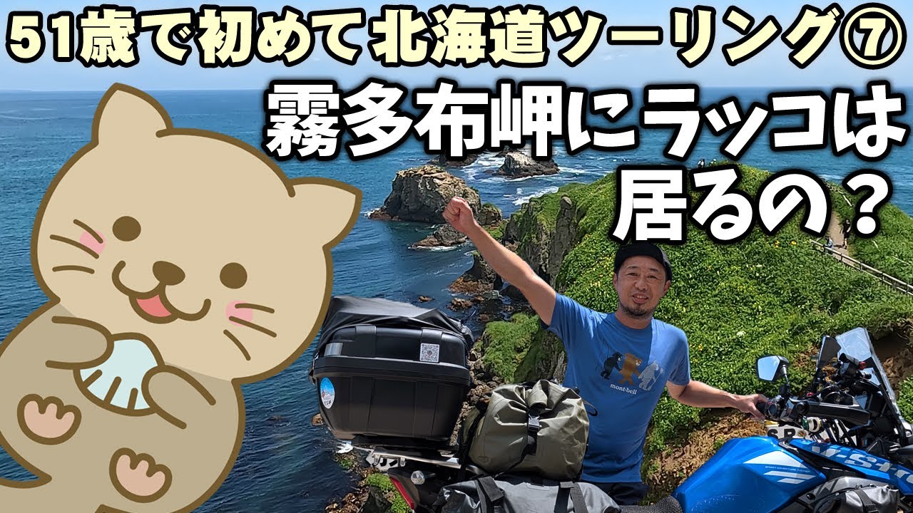 北海道蝦夷鹿角 Hikari 北海道蝦夷鹿角 Hikari 2020/3/13 | su Ha