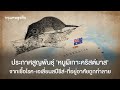 สูญพันธุ์ของหนูผีเกาะคริสต์มาส: ประวัติและการสูญหายของสัตว์เฉพาะถิ่นออสเตรเลีย