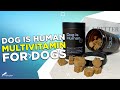 Review: Dog Is Human Multivitamin for Dogs