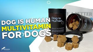 Review: Dog Is Human Multivitamin for Dogs by Top Dog Tips 1,004 views 2 months ago 5 minutes, 42 seconds