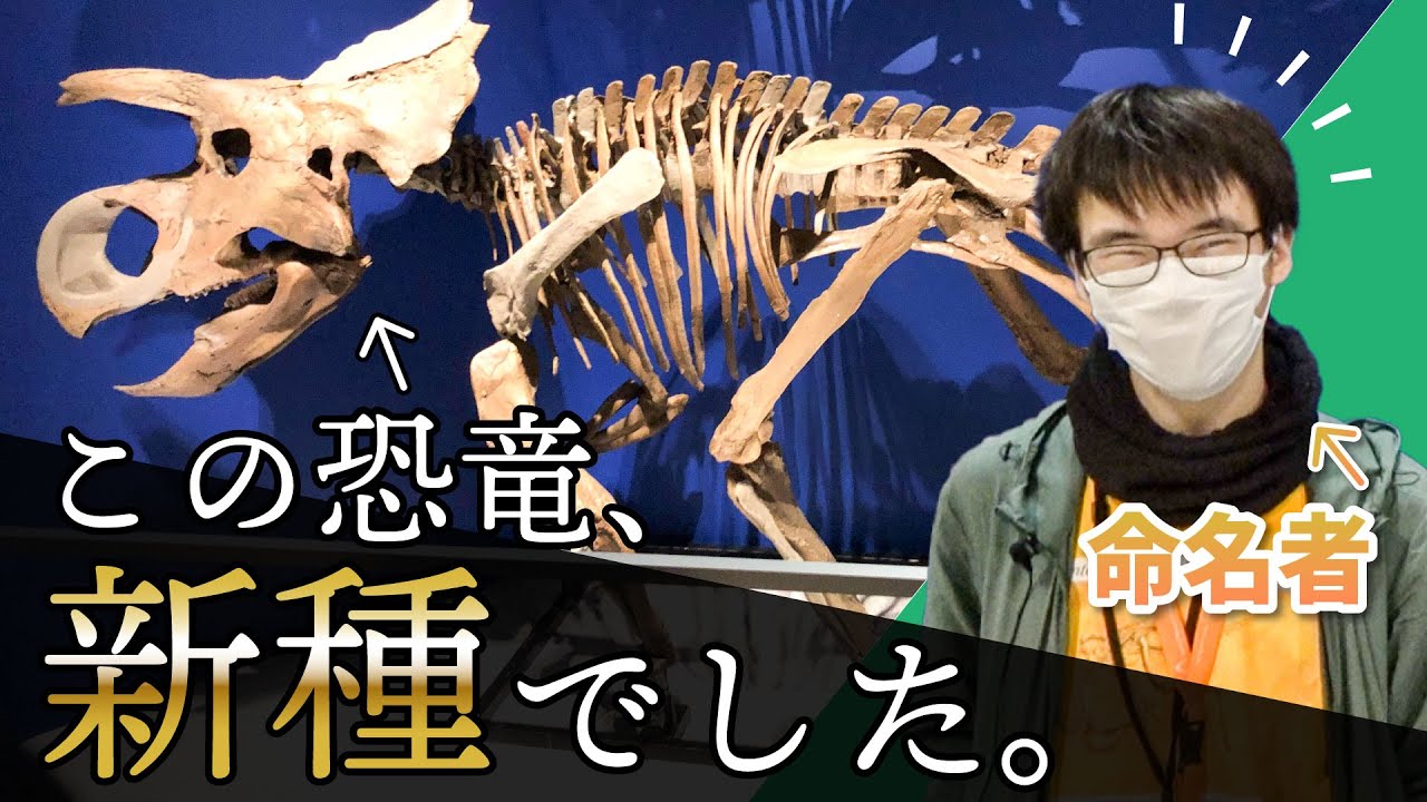 新種の恐竜「フルカトケラトプス」命名者による徹底解説【恐竜博2023】