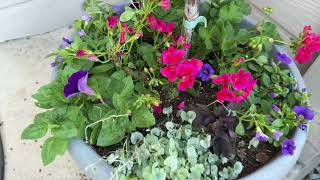 Spring Planting Front Pots