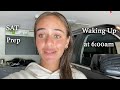 Sophia's Daily Routine
