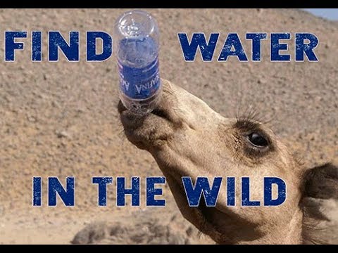Hoe vindt u het water in de woestijn