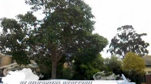 OZ Helicopters HK450 3D Test chapter 1