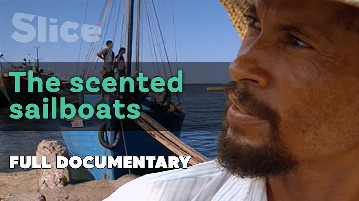 The Scented Sailboats I SLICE I Full documentary - DayDayNews