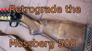 Retrograde the Mossberg500 ! Wood stain