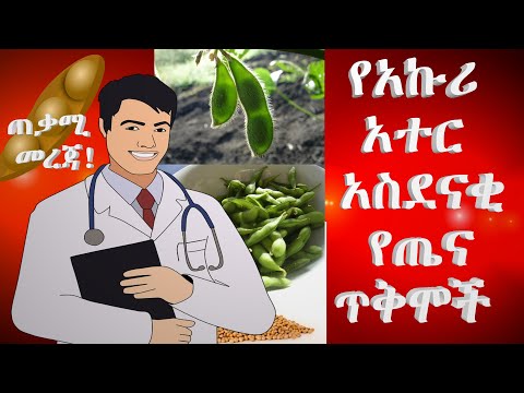 ቪዲዮ: ምን ያህል ጊዜ የአኩሪ አተር ሥጋ መብላት ይችላሉ?