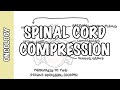 Spinal Cord Compression -  medical emergency, causes, symptoms, diagnosis, treatment