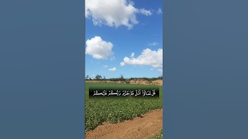 آيات بينات من الذكر الحكيم بصوت رائع وجميل ❤ #اكسبلور #المغرب #المصحف #حالات_واتس #القرآن_الكريم