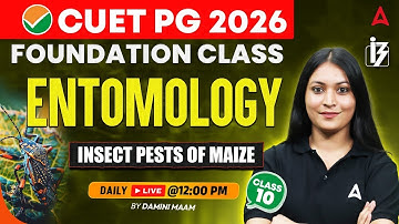 CUET PG 2026 FOUNDATION | ENTOMOLOGY INSECT PESTS OF MAIZE #11 | BY DAMINI MA