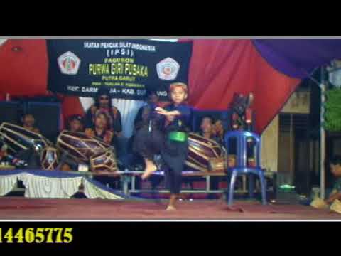 Download lagu Pencak silat paleredan calon juara dunia masih kecil sudah mantul Pencak silat paleredan calon juara dunia masih kecil sudah mantul