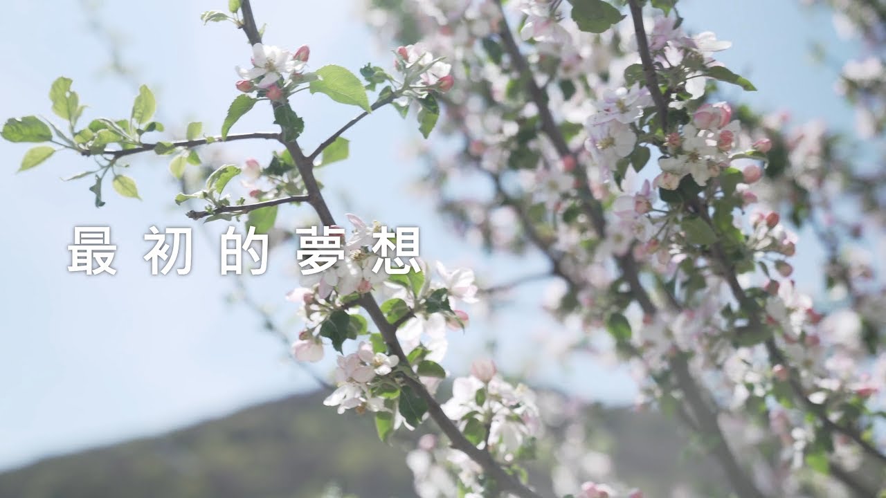 最初的夢想(Zuìchū de Mèngxiǎng) - Vocaloid Lyrics Wiki