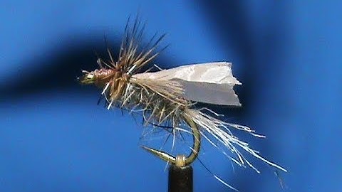 Fly Tying a Garbaage Bag X Caddis with Jim Misiura