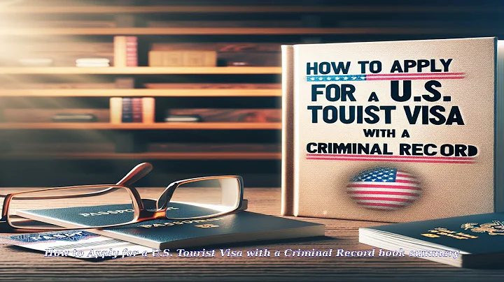 How to Apply for a U.S. Tourist Visa with a Criminal Record book summary