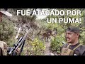 Venado Fue Atacado Por Un Puma!🦌