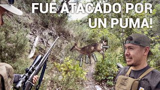 Venado Fue Atacado Por Un Puma!🦌