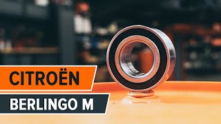 Instalace Agr Ventil CITROËN BERLINGO: video příručky