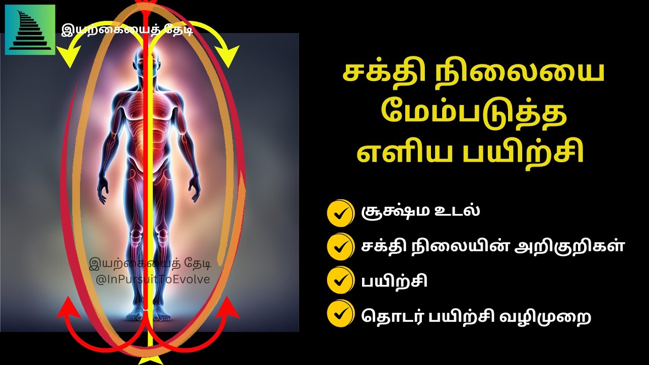 Guided Practice to Strengthen Energy Flow I Signs of High/Low Energy I Reality Transurfing