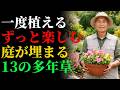 「一度植えればずっと楽しめる！庭を一気に埋め尽くす13の多年草」| 農業 | 雑草対策