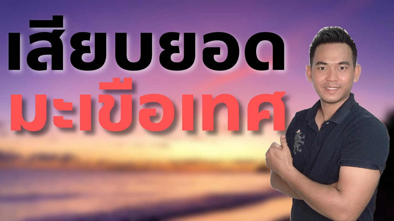 เสียบยอดมะเขือเทศ EP.35