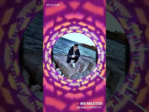 مهرجان كارثه كارثه يا موزه يا فرسه حسن شاكوش 