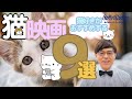 猫好きがおすすめする猫映画９選！