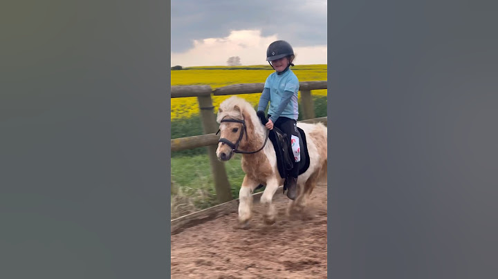 Fast Shetland #horse #equestrian #horseriding #pony #horselover #showjumping #shetlandpony #trending