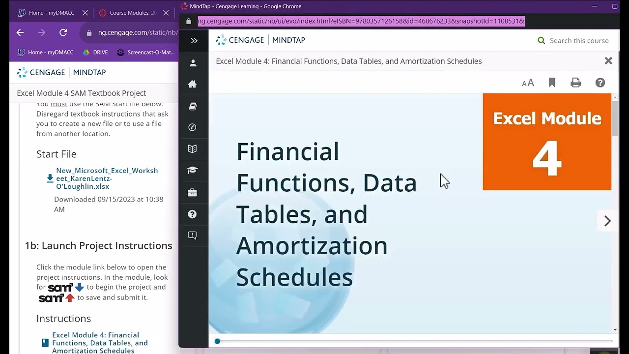 CSC116 Excel Module 4 Textbook Project Hints