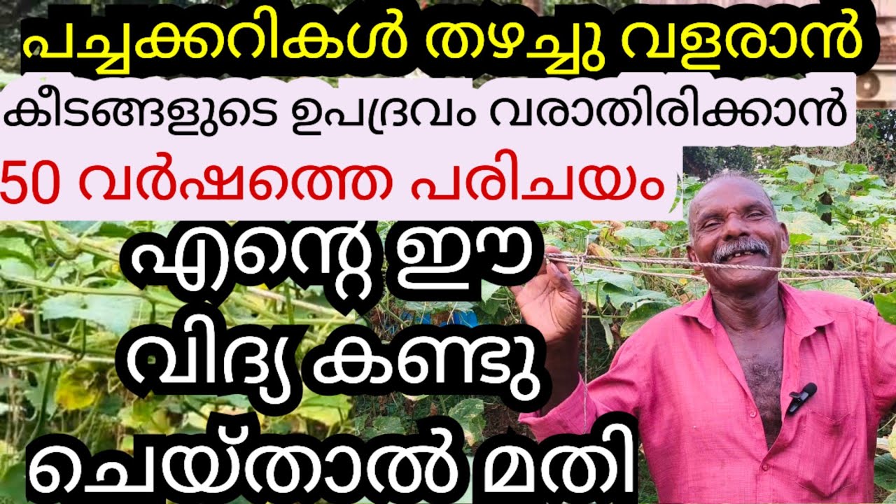 എന്റെ ജൈവ കീടനാശിനിയാണ് എന്റെ വിജയം |Agriculture malayalam 