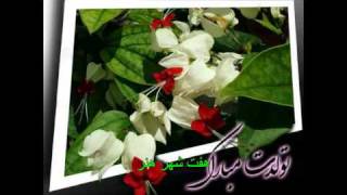 Video thumbnail of "وحید قاسمی— سال روز تولدت مبارک"