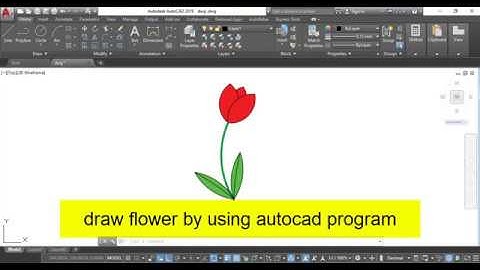 Draw flower sample (2)