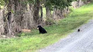 Celebrity Gardners Farm Net Worth