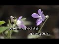 76 四季の歌 芹洋子 カラオケ=kazu