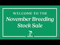 Keeneland Live Feed