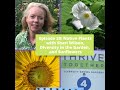 Native Plants, Diversity in the Garden, and Sunflowers