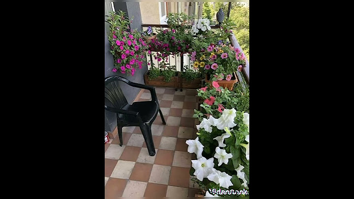 قناةام الاء افكار تزيين البالكون لمحبين الورد 🌷هذي لكم ادخلو ضربو طلة تستفادو نتمنا التفاعل اكثر 🙏
